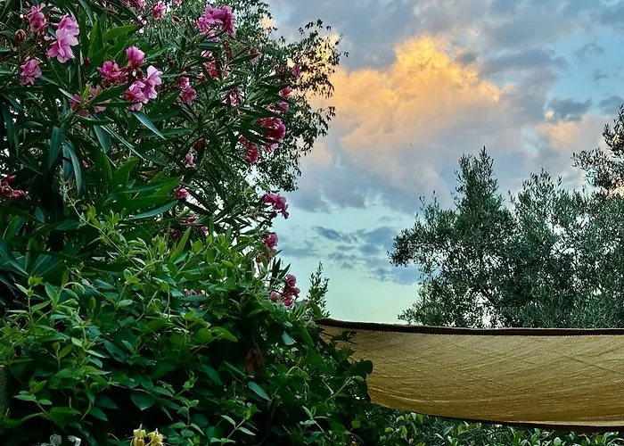 T2 Avec Jardin, Proche Plages Et Centre De Montpellier *